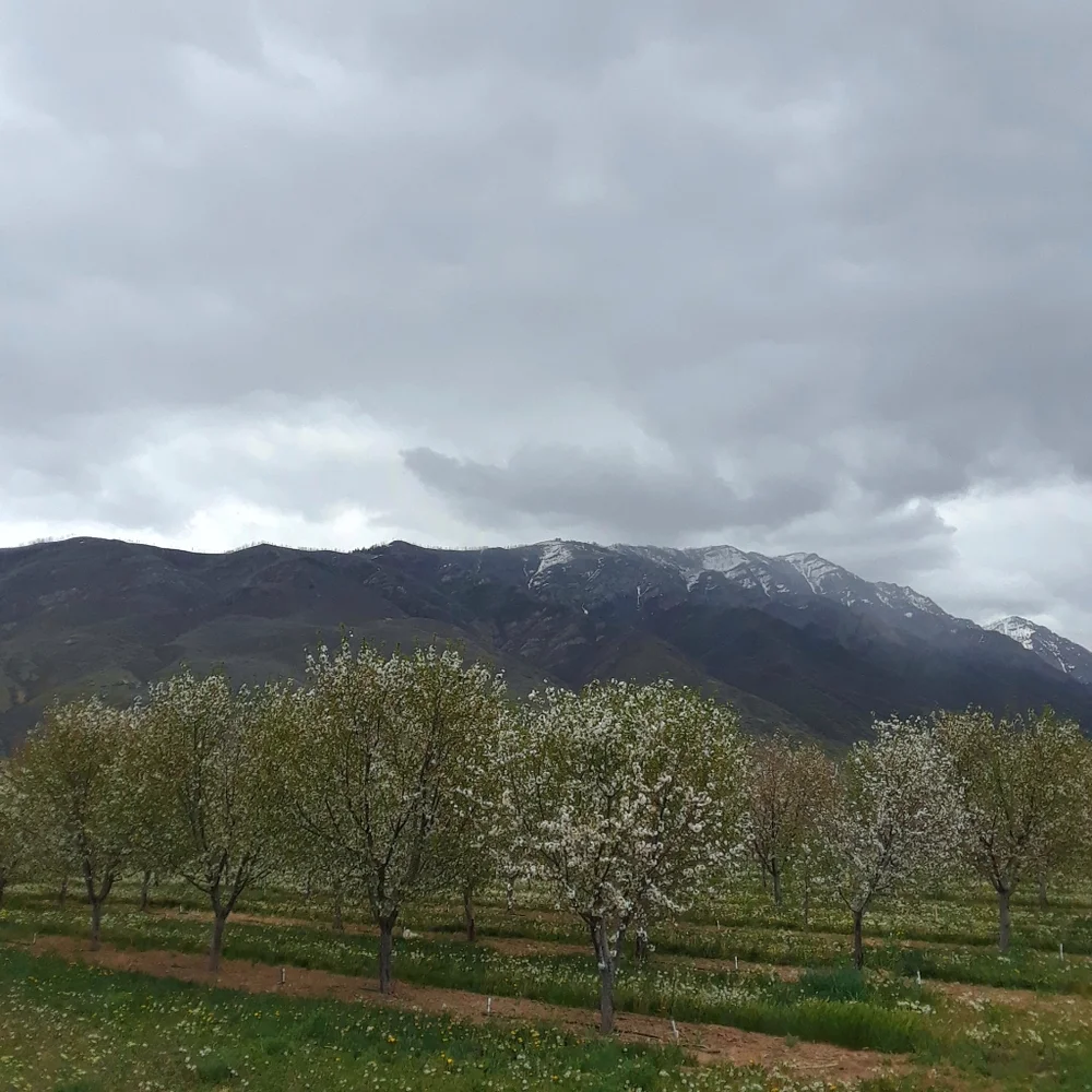 Hello - Picture 2 of 5